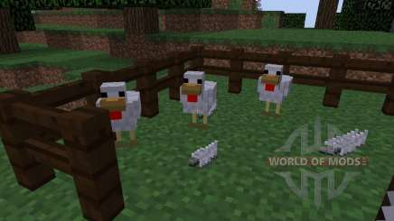 ChickenShed [1.8] pour Minecraft