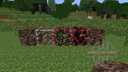 NetherX [1.6.4] pour Minecraft