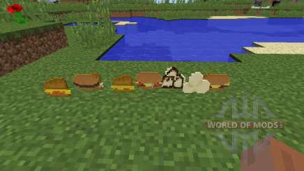 Birds Foods [1.8] pour Minecraft