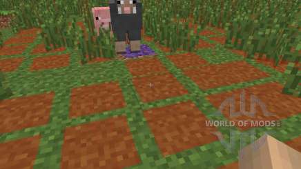 Monster Spawn Highlighter [1.6.4] pour Minecraft