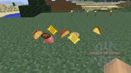 Mexican [1.6.4] pour Minecraft