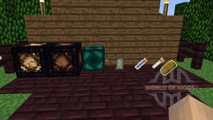 Xenos Reliquary [1.5.2] pour Minecraft