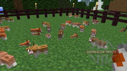 Invincible Hamster [1.5.2] pour Minecraft