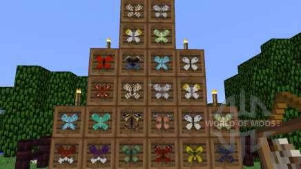 Butterfly Mania [1.5.2] pour Minecraft