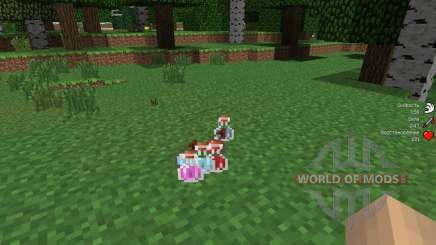 StatusEffectHUD [1.6.4] pour Minecraft