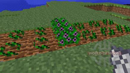 Magical Crops [1.5.2] pour Minecraft