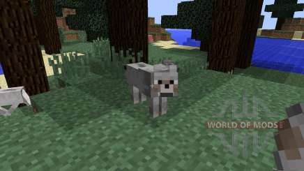 Sophisticated Wolves [1.8] pour Minecraft