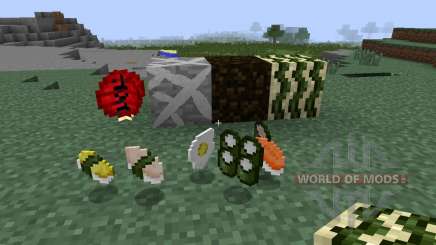 Sushi Craft [1.7.2] pour Minecraft