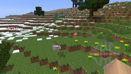 DirectionHUD [1.6.4] pour Minecraft