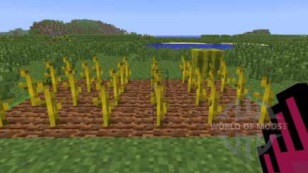 Planter Helper [1.6.4] pour Minecraft