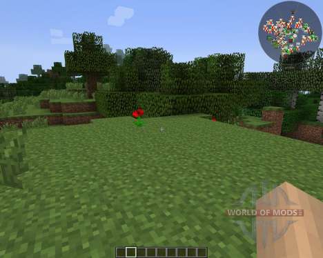 RadarBro [1.7.2] pour Minecraft