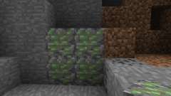 Slime Dungeons [1.6.2] pour Minecraft