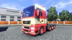 Haut Torben rafn auf dem LKW MAN für Euro Truck Simulator 2