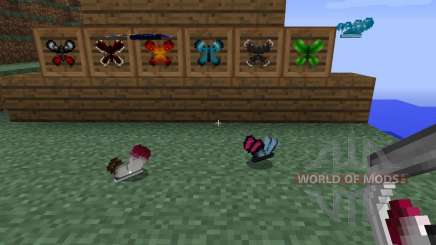 Butterfly Mania [1.6.2] pour Minecraft