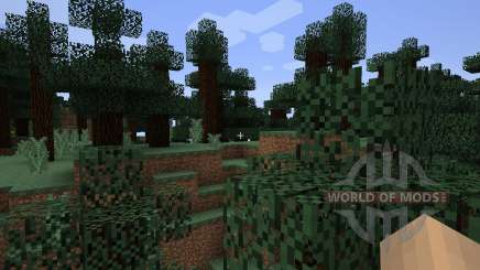 DirectionHUD [1.7.2] pour Minecraft