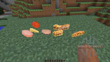 Fast Food Mod [1.7.10] pour Minecraft