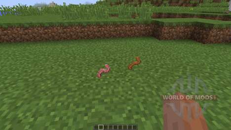 Worms [1.8] pour Minecraft