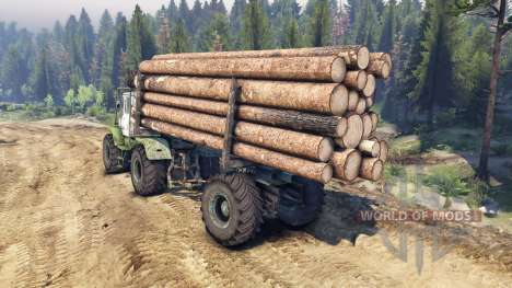 T-150K Holz für Spin Tires