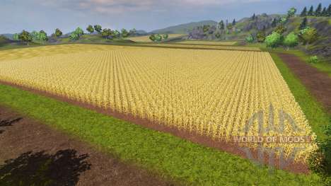 BGA für Farming Simulator 2013