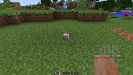 Lucky Block Pink [1.7.10] für Minecraft