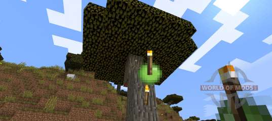 Throwable Torch [1.8] pour Minecraft