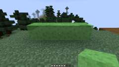 Back in Slime [1.7.10] pour Minecraft