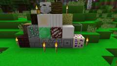 Shacked Pack 2.0 [16x][1.8.8] pour Minecraft