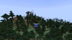 Animated Player [1.7.10] pour Minecraft