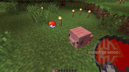 Pokeball [1.5.2] pour Minecraft