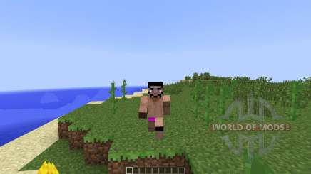 Animated Player [1.7.2] für Minecraft