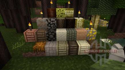 Axian Resource Pack [16x][1.8.1] pour Minecraft