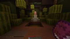 Melon mania 2 für Minecraft