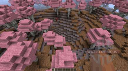 Land Spiral [1.8][1.8.8] pour Minecraft