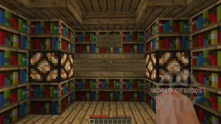 The Library pour Minecraft