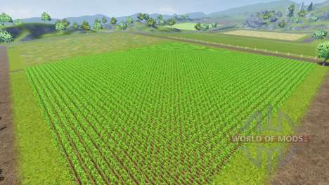 Fiatagri v1.1 pour Farming Simulator 2013