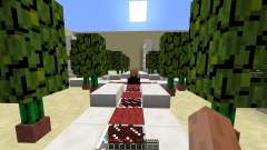 Survival of The Crafters pour Minecraft