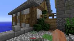 Medieval City for Roleplay pour Minecraft