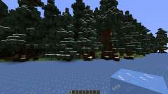 Island of Gelous Winter Map für Minecraft