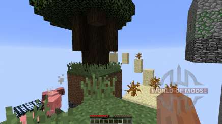 SkyBlocks pour Minecraft