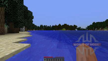 Vision pour Minecraft