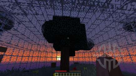 Biomesphere survival 1.2 pour Minecraft