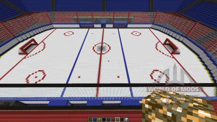 Oustanding Outdoor Hockey Arena pour Minecraft