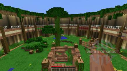 Arena Map w Classes pour Minecraft