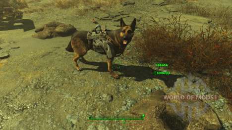 Cheat armure pour les chiens pour Fallout 4