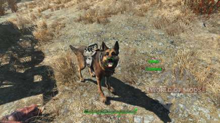 Cheat-Rüstung für die Hunde für Fallout 4