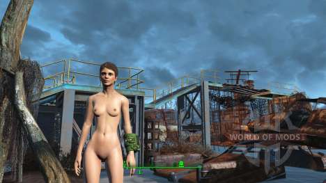 Calientes Beautiful Bodies Enhancer für Fallout 4