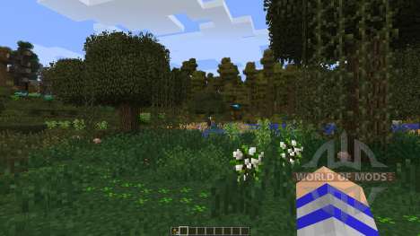 Life in the Woods: Renaissance pour Minecraft
