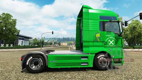 Raiffeisen de la peau sur le camion de l'HOMME pour Euro Truck Simulator 2