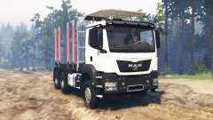 MAN TGS 26.480 pour Spin Tires