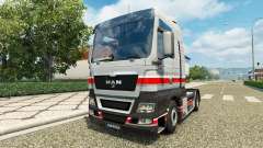 Audi peau pour l'HOMME de camion pour Euro Truck Simulator 2